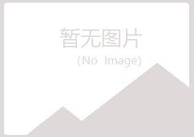 兴山区搁浅服务有限公司